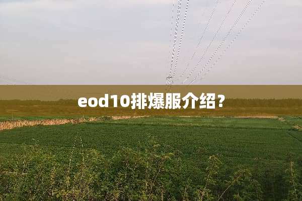 eod10排爆服介绍？