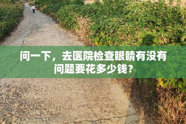 问一下，去医院检查眼睛有没有问题要花多少钱？