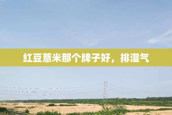 红豆薏米那个牌子好，排湿气