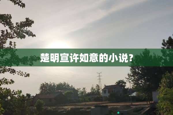 楚明宣许如意的小说？