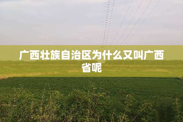 广西壮族自治区为什么又叫广西省呢