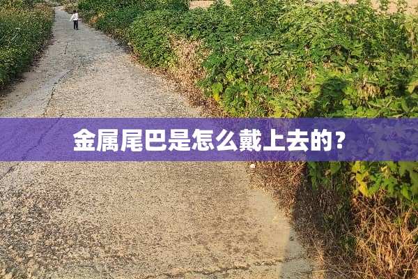 金属尾巴是怎么戴上去的？