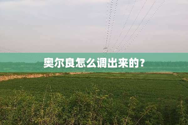 奥尔良怎么调出来的？