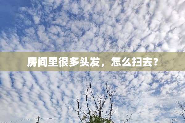房间里很多头发，怎么扫去？