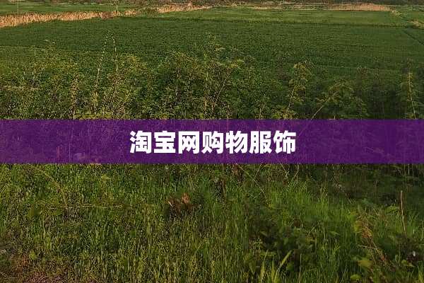 淘宝网购物服饰