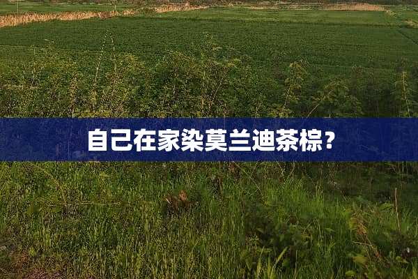 自己在家染莫兰迪茶棕？