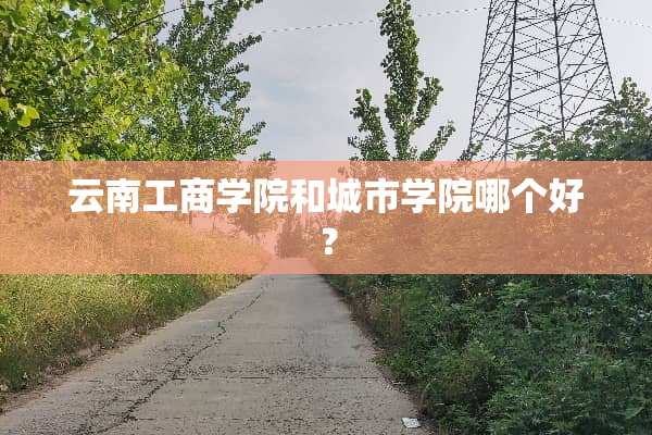 云南工商学院和城市学院哪个好？