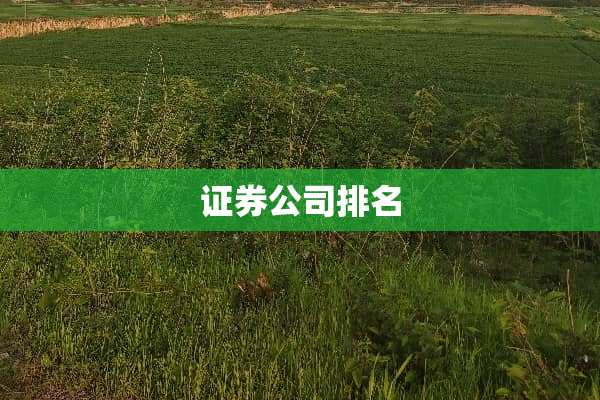 证券公司排名