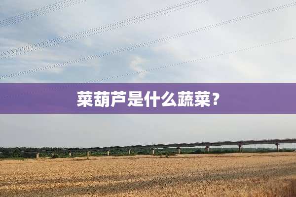 菜葫芦是什么蔬菜？