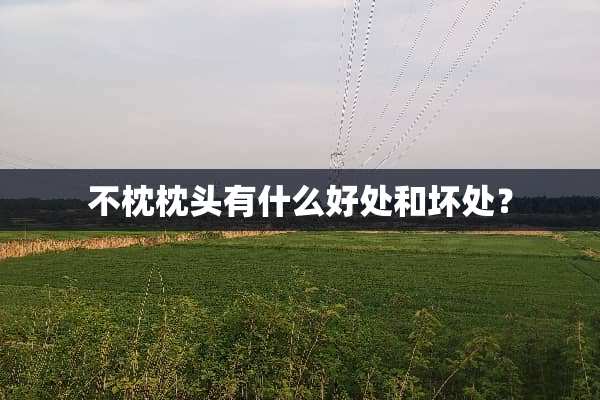 不枕枕头有什么好处和坏处？