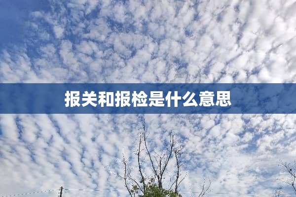 报关和报检是什么意思