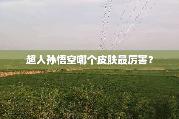 超人孙悟空哪个皮肤最厉害？