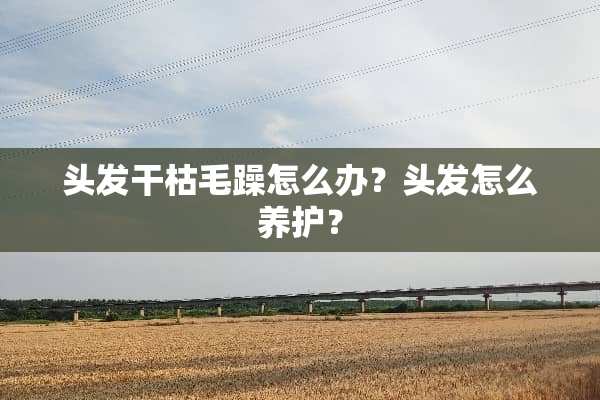头发干枯毛躁怎么办？头发怎么养护？