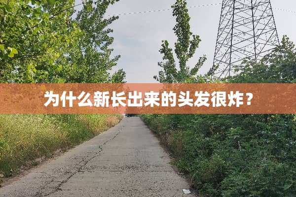 为什么新长出来的头发很炸？