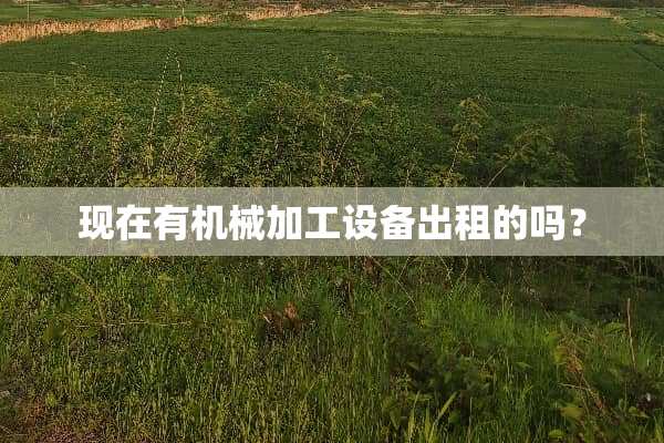 现在有机械加工设备出租的吗？
