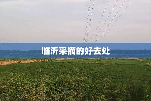 临沂采摘的好去处