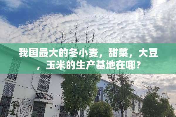 我国最大的冬小麦，甜菜，大豆，玉米的生产基地在哪？