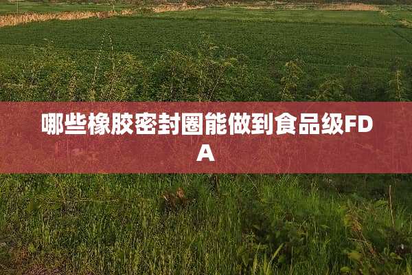 哪些橡胶密封圈能做到食品级FDA