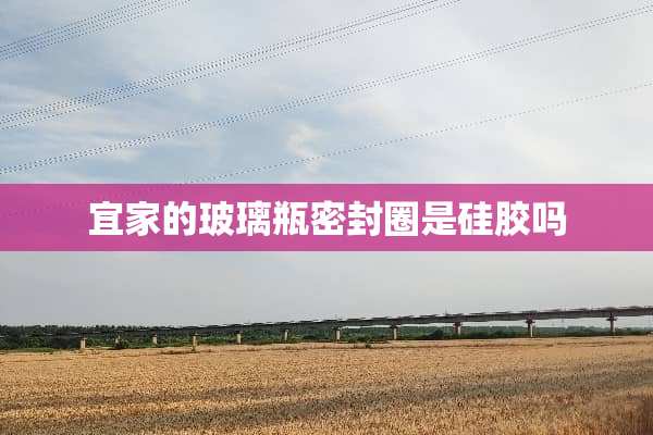 宜家的玻璃瓶密封圈是硅胶吗