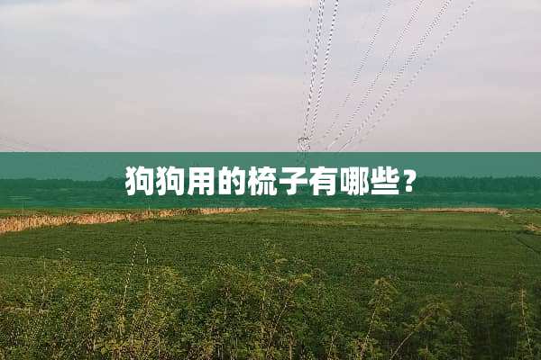 狗狗用的梳子有哪些？