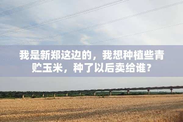 我是新郑这边的，我想种植些青贮玉米，种了以后卖给谁？