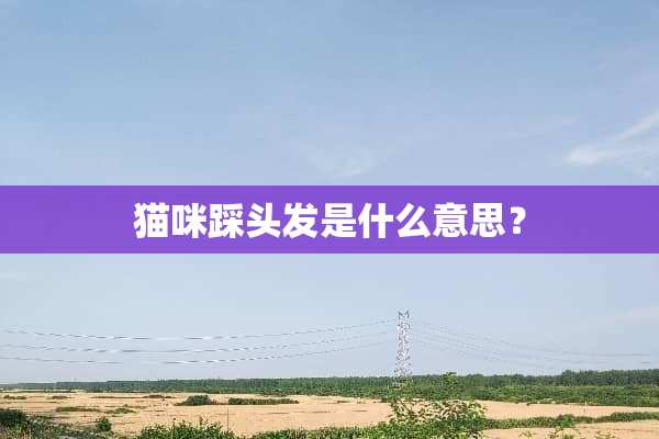 猫咪踩头发是什么意思？