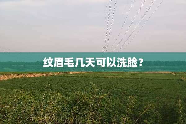 纹眉毛几天可以洗脸？