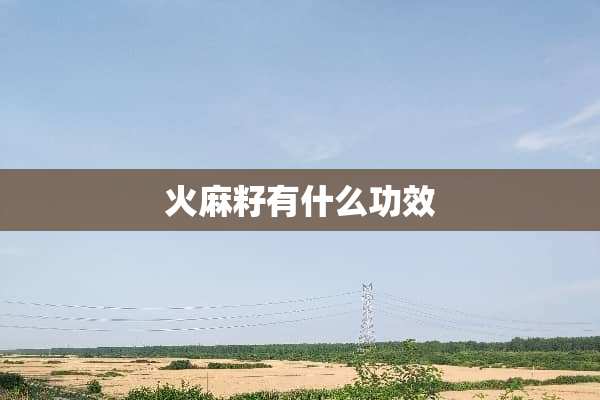 火麻籽有什么功效