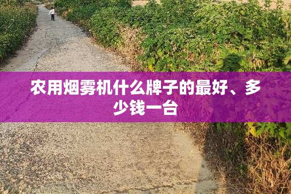 农用烟雾机什么牌子的最好、多少钱一台