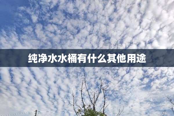纯净水水桶有什么其他用途