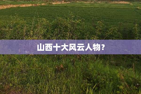 山西十大风云人物？
