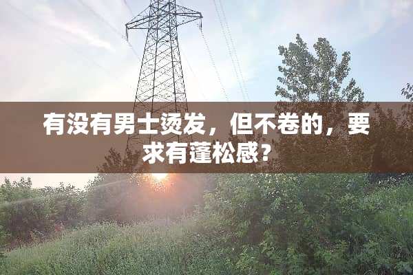 有没有男士烫发，但不卷的，要求有蓬松感？