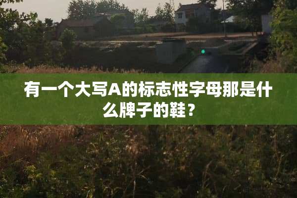 有一个大写A的标志性字母那是什么牌子的鞋？