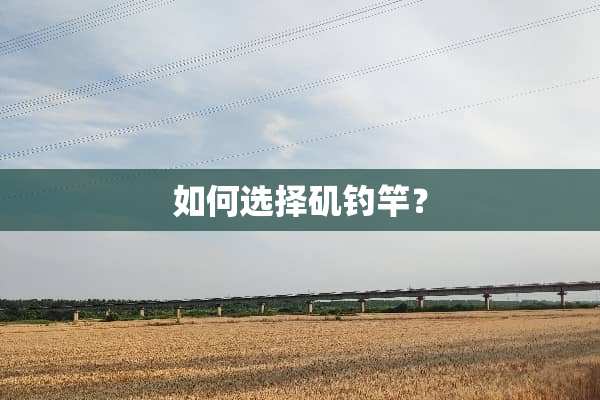 如何选择矶钓竿？