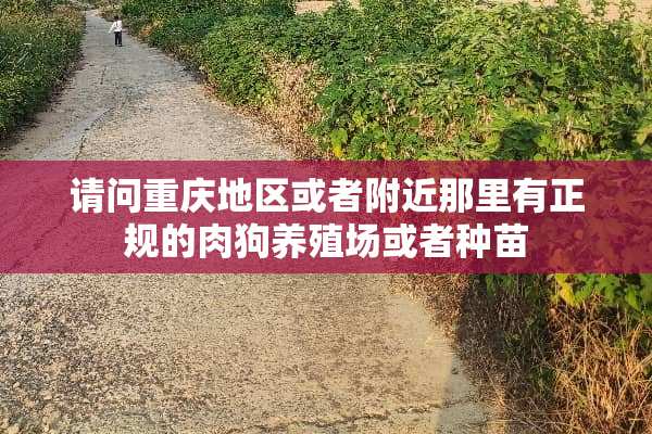 请问重庆地区或者附近那里有正规的肉狗养殖场或者种苗