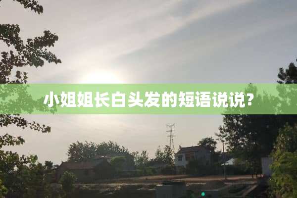 小姐姐长白头发的短语说说？