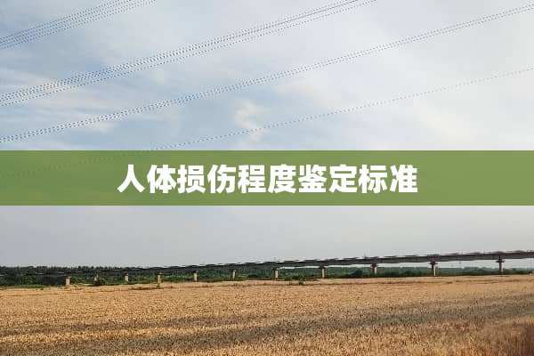 人体损伤程度鉴定标准