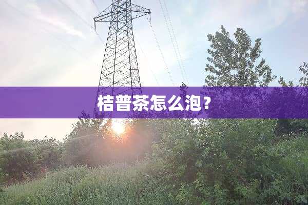 桔普茶怎么泡？