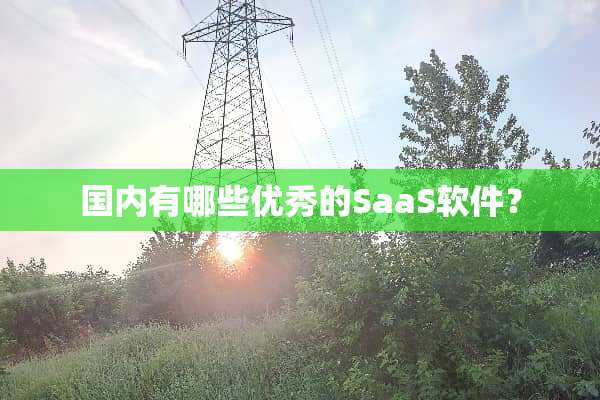 国内有哪些优秀的SaaS软件？