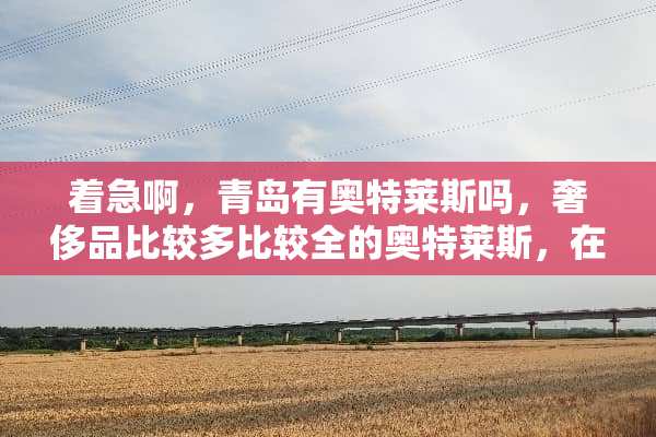 着急啊，青岛有奥特莱斯吗，奢侈品比较多比较全的奥特莱斯，在哪个位置，谢谢啦