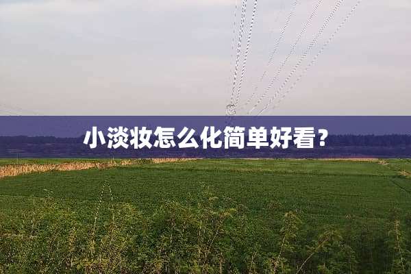 小淡妆怎么化简单好看？