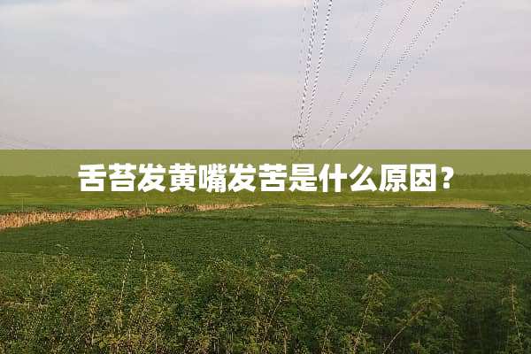 舌苔发黄嘴发苦是什么原因？