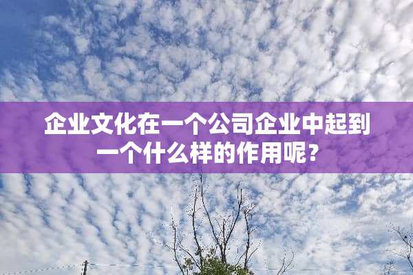 企业文化在一个公司企业中起到一个什么样的作用呢？