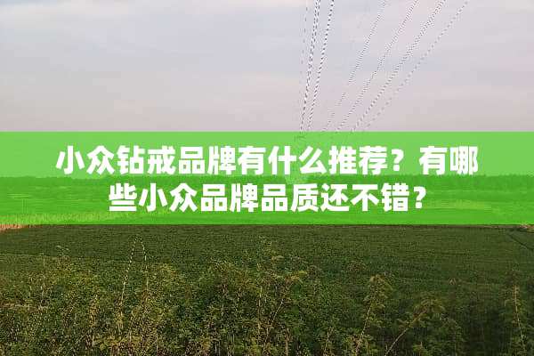 小众钻戒品牌有什么推荐？有哪些小众品牌品质还不错？
