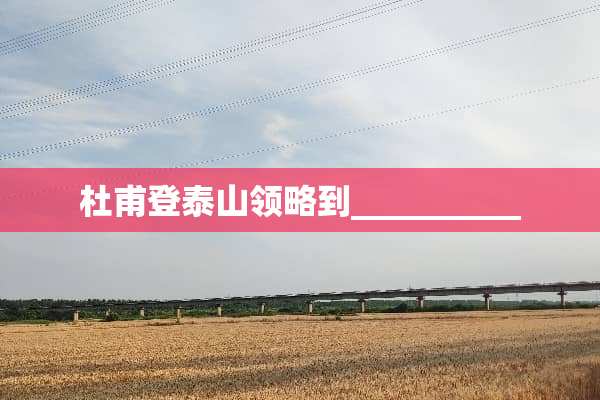 杜甫登泰山领略到__________