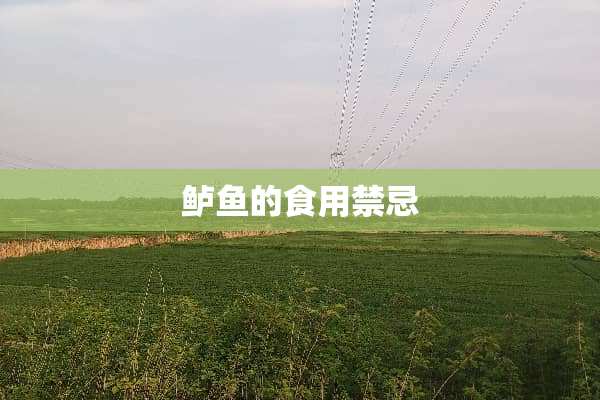 鲈鱼的食用禁忌