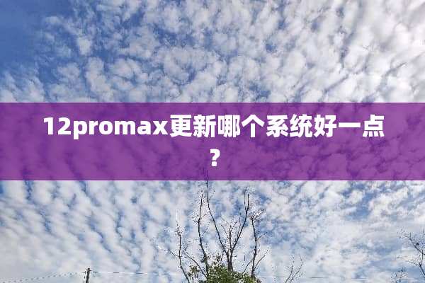 12promax更新哪个系统好一点？