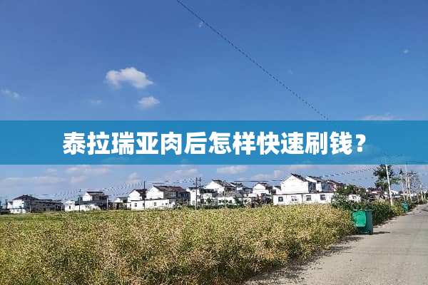泰拉瑞亚肉后怎样快速刷钱？