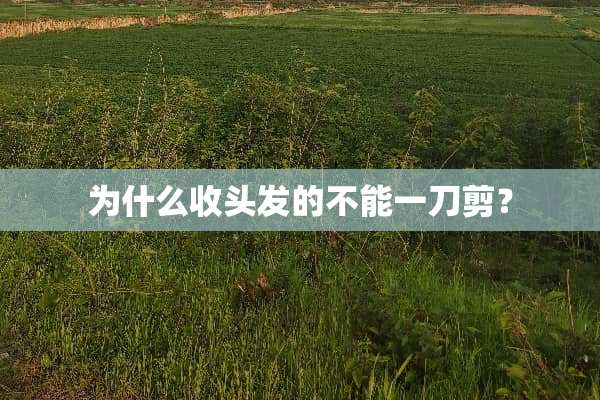 为什么收头发的不能一刀剪？