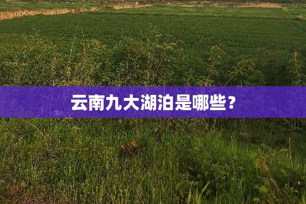 云南九大湖泊是哪些？